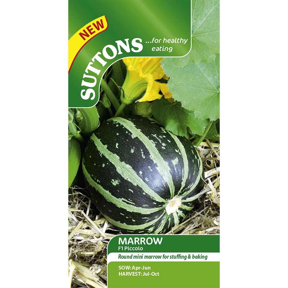 Suttons Marrow F1 Piccolo G170433 - SEED VEG & FLOWER - Beattys of Loughrea