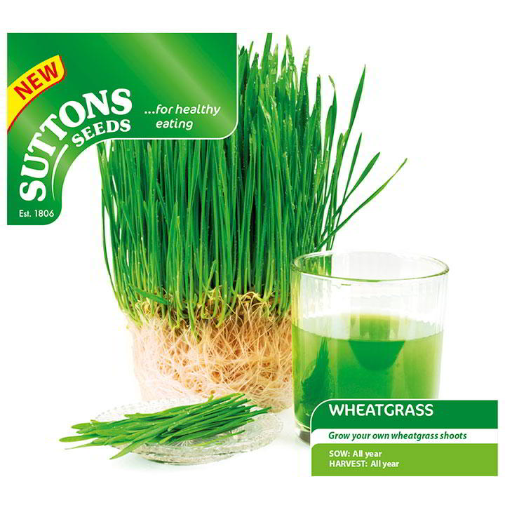 Suttons Wheatgrass Shoots G183080 - SEED VEG & FLOWER - Beattys of Loughrea