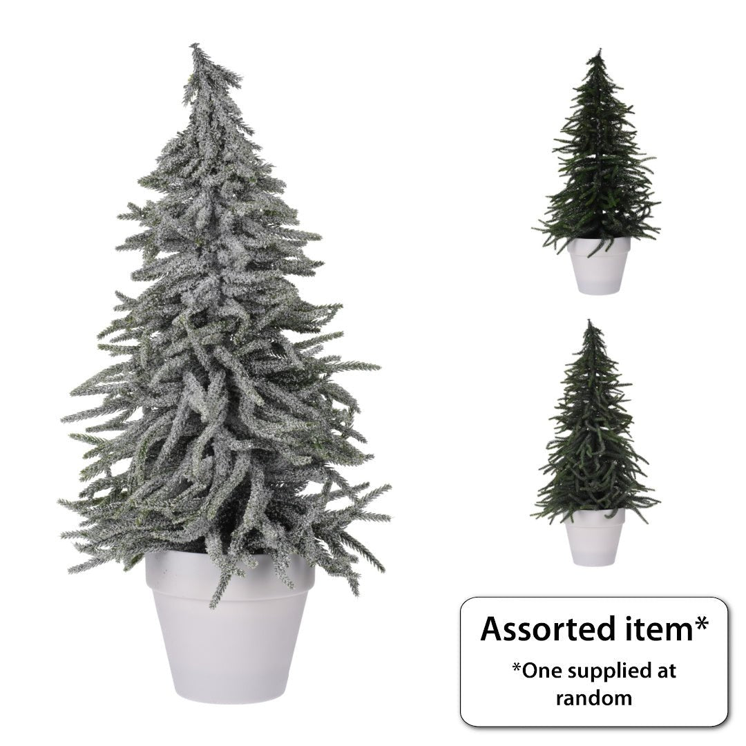 Xmas Tree in Pot 58cm - XMAS TREE SMALL - Beattys of Loughrea