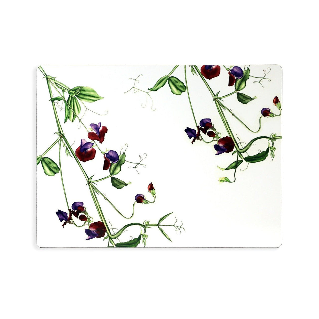 TIPPERARY CRYSTAL Botanical Studio - Set of 6 Placemats - TABLEMATS/COASTERS - Beattys of Loughrea