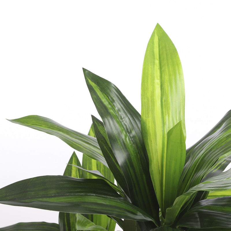 Dracaena Artificial Plant in Pot 110cm - POTTED PLANTS - DRY ORNAMENTAL - Beattys of Loughrea