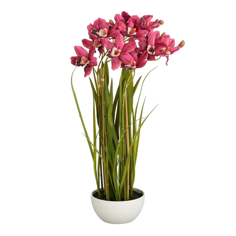 Cymbidium Flower in Bowl Pink 82 x 30cm - POTTED PLANTS - DRY ORNAMENTAL - Beattys of Loughrea