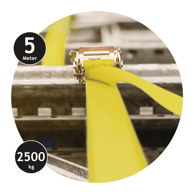 Dunlop Lashing Strap with Ratchet 5M - up to 2500 KG - TRAILER/TRACTOR PARTS - Beattys of Loughrea