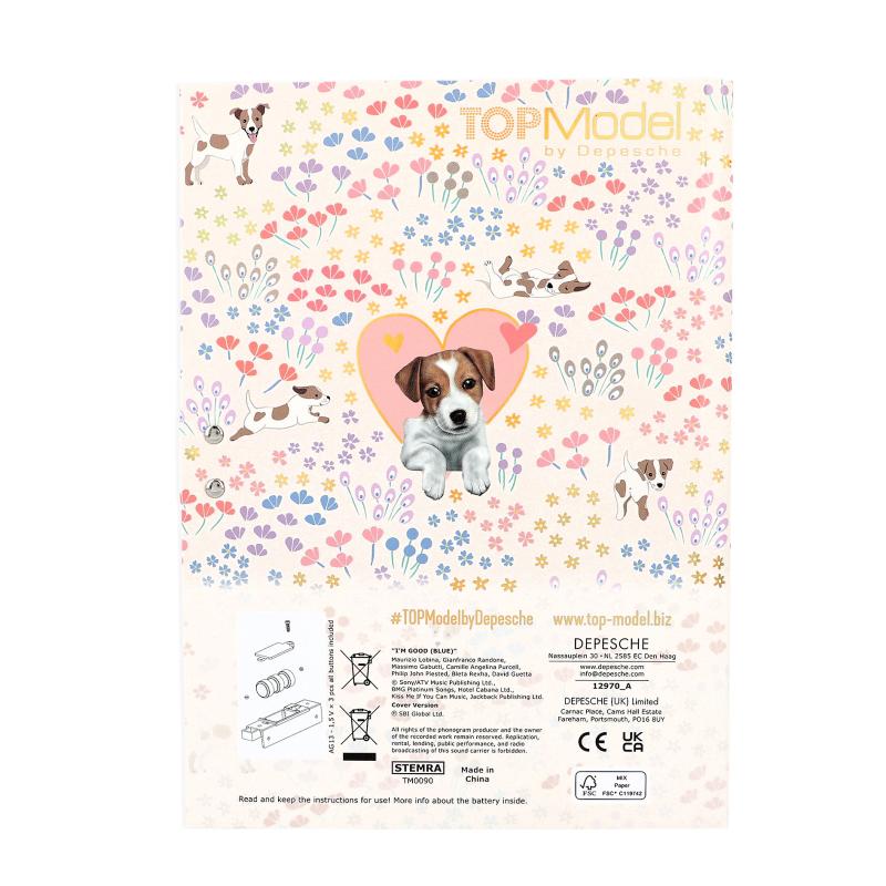 Topmodel Diary With Code & Sound Velo Fleur - BOOKS - Beattys of Loughrea