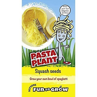 Suttons Pasta Plant Vegetable Spagetti - SEED VEG & FLOWER - Beattys of Loughrea