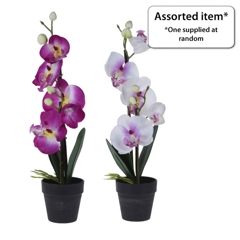 Artificial Orchid in Pot 38cm - POTTED PLANTS - DRY ORNAMENTAL - Beattys of Loughrea