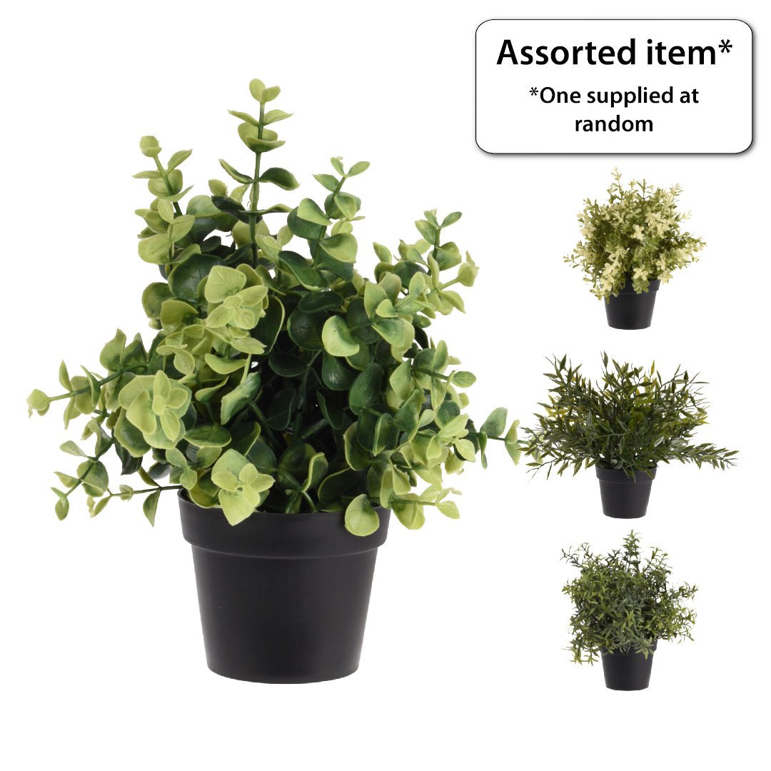 Artificial Plant in Pot 23cm - POTTED PLANTS - DRY ORNAMENTAL - Beattys of Loughrea