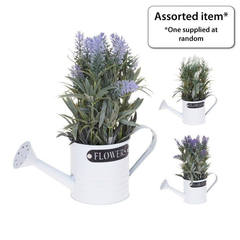 Artificial Lavender Plant in Metal Watering Can - POTTED PLANTS - DRY ORNAMENTAL - Beattys of Loughrea