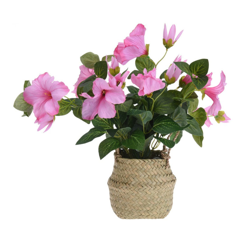 Artificial Plant in Basket - POTTED PLANTS - DRY ORNAMENTAL - Beattys of Loughrea