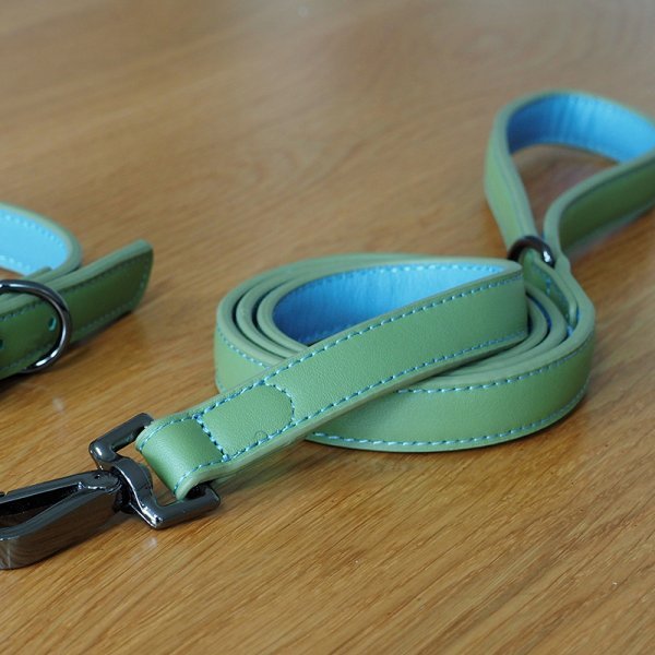 Luxe Leather - Sage WalkAbout Dog Lead 120cm - PET LEAD, COLLAR AND ID, SAFETY - Beattys of Loughrea