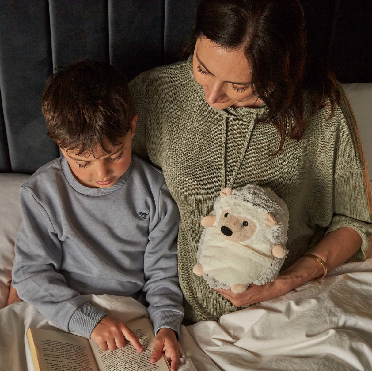 Warmies Large 13" Beige Hedgehog - H/H - HOT WATER BOTTLE - Beattys of Loughrea