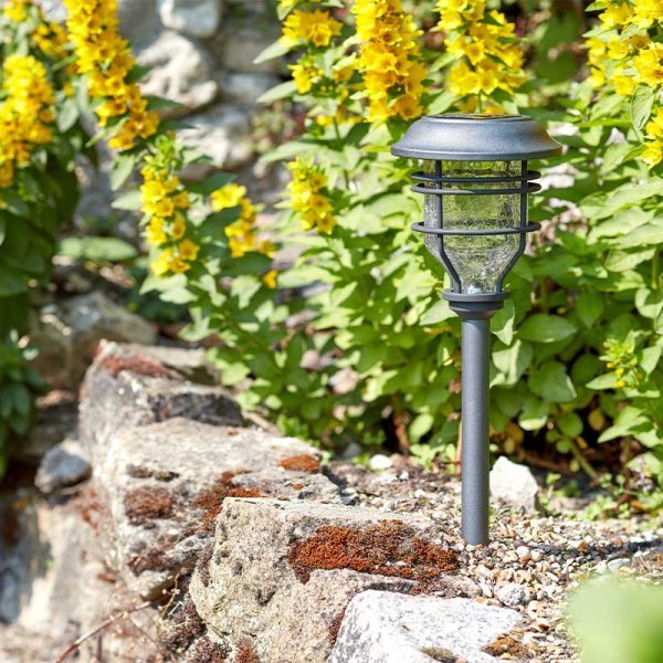 Solar Capri Stake Light 10 Lumen - SOLAR / GARDEN ORNAMENTS - Beattys of Loughrea