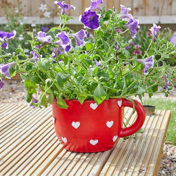 Teacup Heart Planter - GDN PLANTER - METAL/POTTERY - Beattys of Loughrea