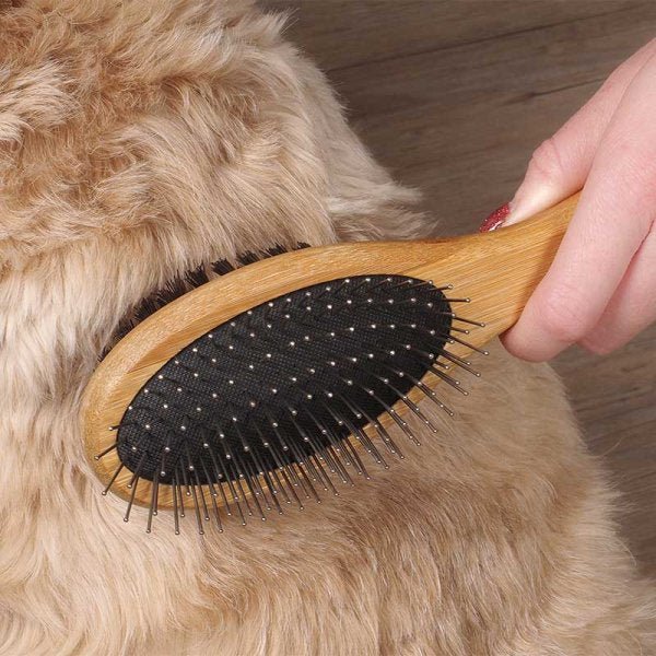 Double Sided Pet Brush - PET SHAMPOO FLEA PWDR GROOMING - Beattys of Loughrea