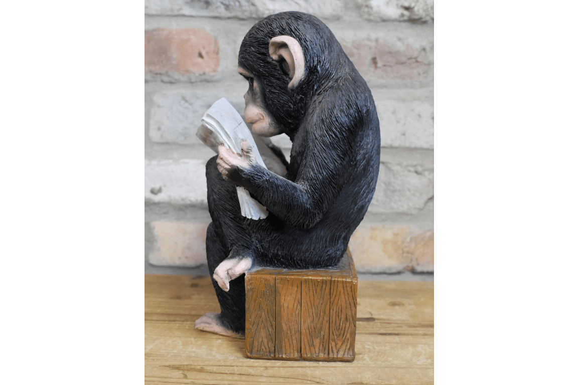 Monkey Reading The News Ornament 28cm - ORNAMENTS - Beattys of Loughrea
