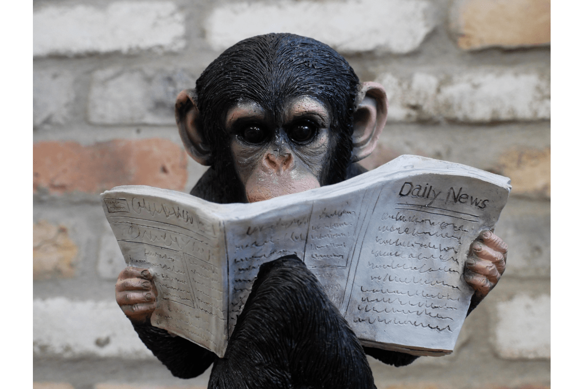Monkey Reading The News Ornament 28cm - ORNAMENTS - Beattys of Loughrea