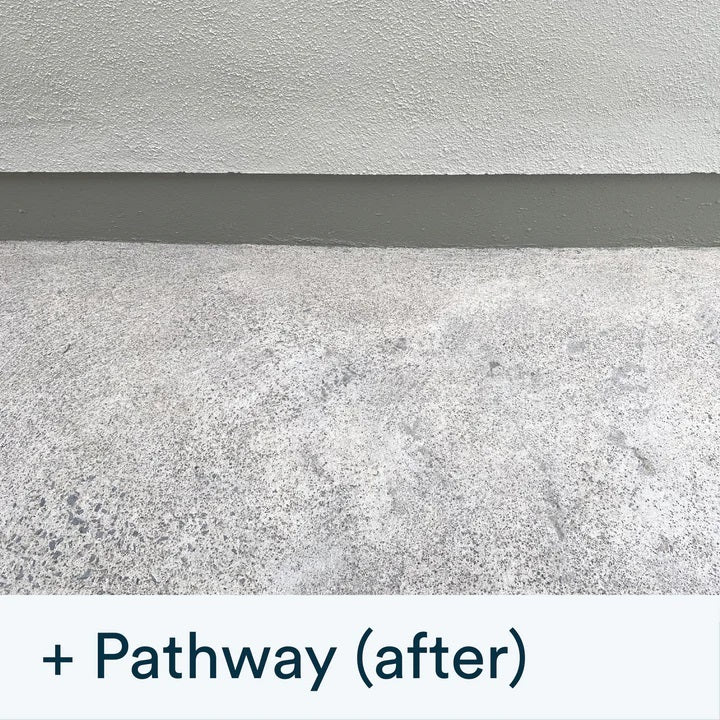 Actiwash Pro: Professional Softwash Biocide 5L - FUNGICIDE/TAR OIL - Beattys of Loughrea