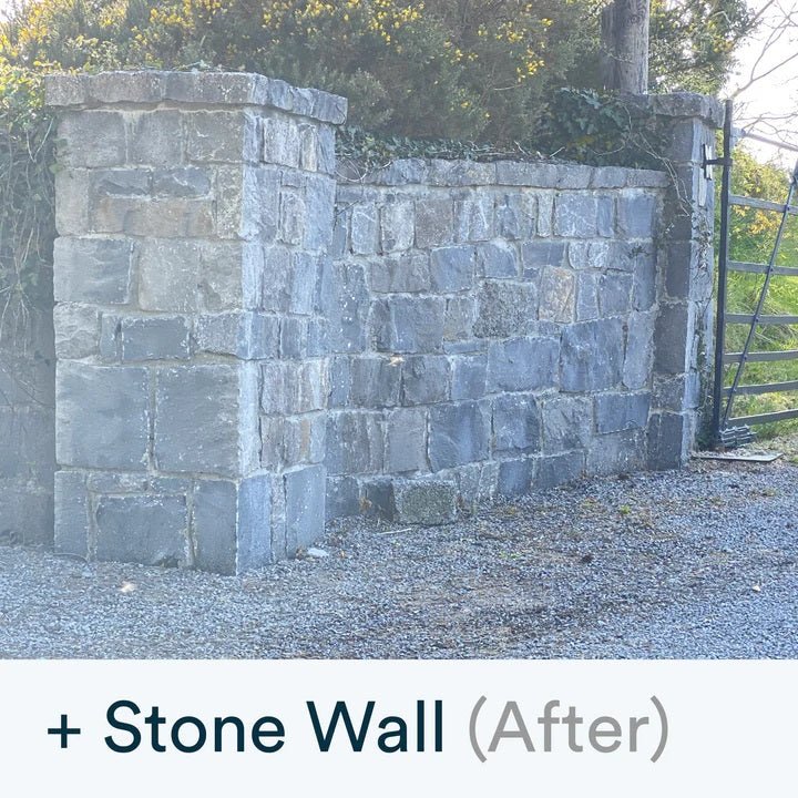 Actiwash Pro: Professional Softwash Biocide 5L - FUNGICIDE/TAR OIL - Beattys of Loughrea