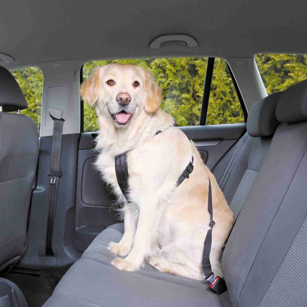 Medium Dog Car Harness 50-70Cm Tx2919 - PET LEAD, COLLAR AND ID, SAFETY - Beattys of Loughrea