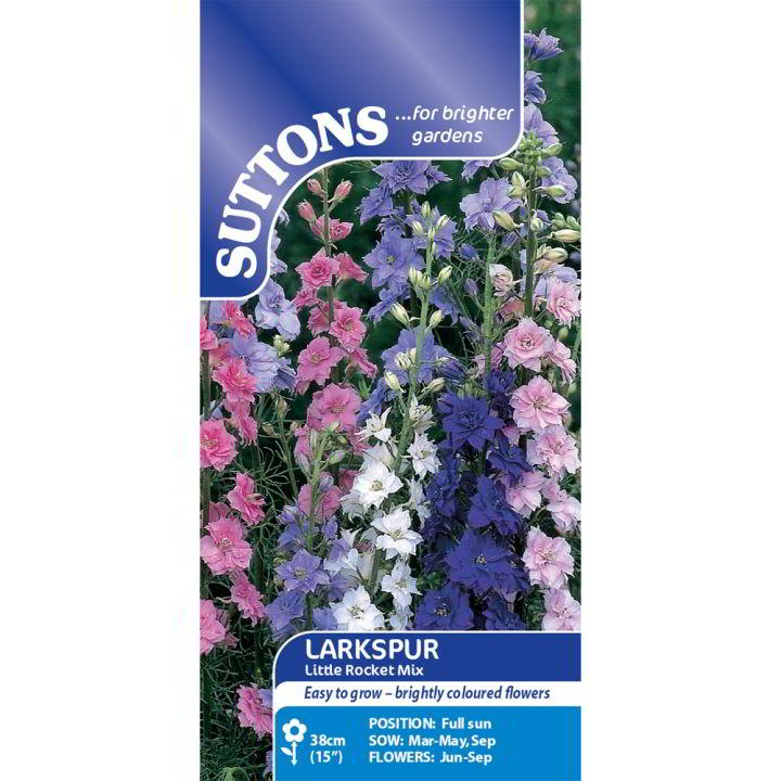 Suttons Larkspur Dwarf Rocket 118751 - SEED VEG & FLOWER - Beattys of Loughrea