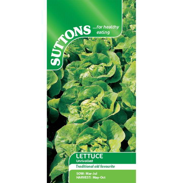 Suttons Lettuce Unrivalled 167886 - SEED VEG & FLOWER - Beattys of Loughrea