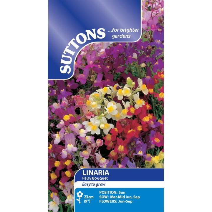 Suttons Linaria Fairy Bouquet 119196 - SEED VEG & FLOWER - Beattys of Loughrea