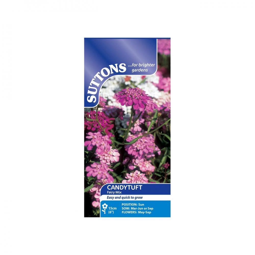 Suttons Candytuft Fairy Mix 107612 - SEED VEG & FLOWER - Beattys of Loughrea