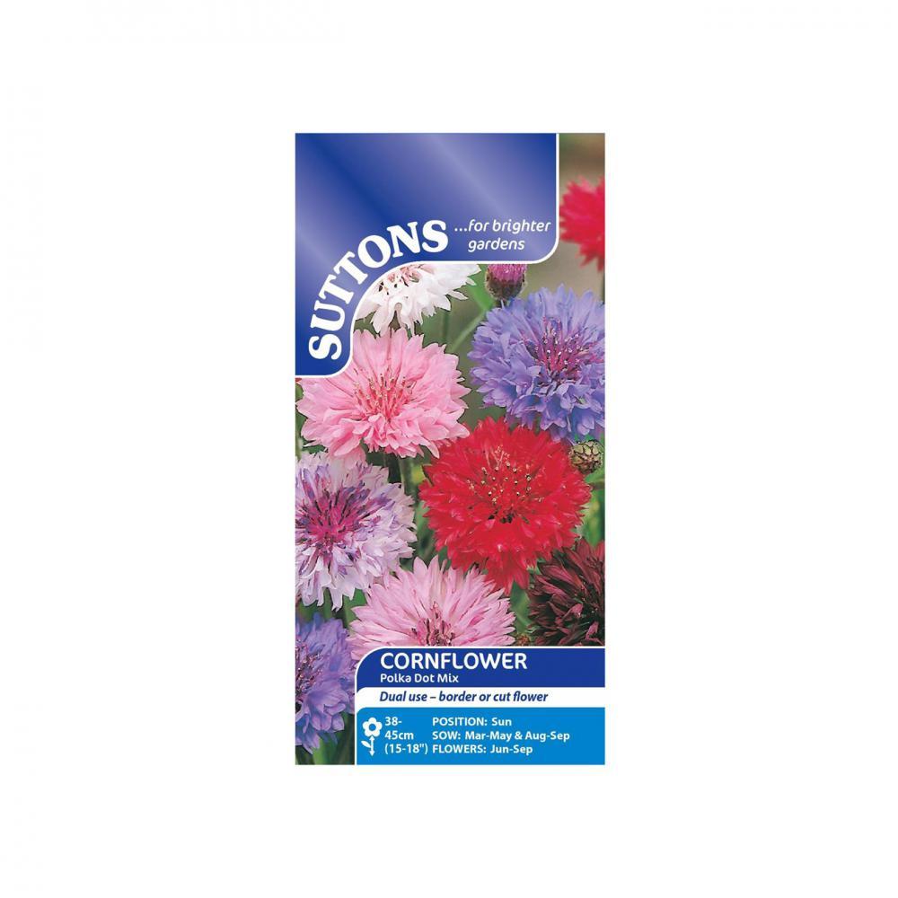 Suttons Cornflower Polka Dot Mixed 111192 - SEED VEG & FLOWER - Beattys of Loughrea