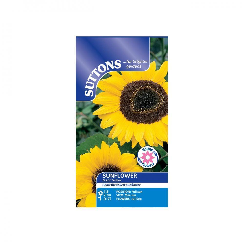 Suttons Sunflower Giant Yellow 133069 - SEED VEG & FLOWER - Beattys of Loughrea