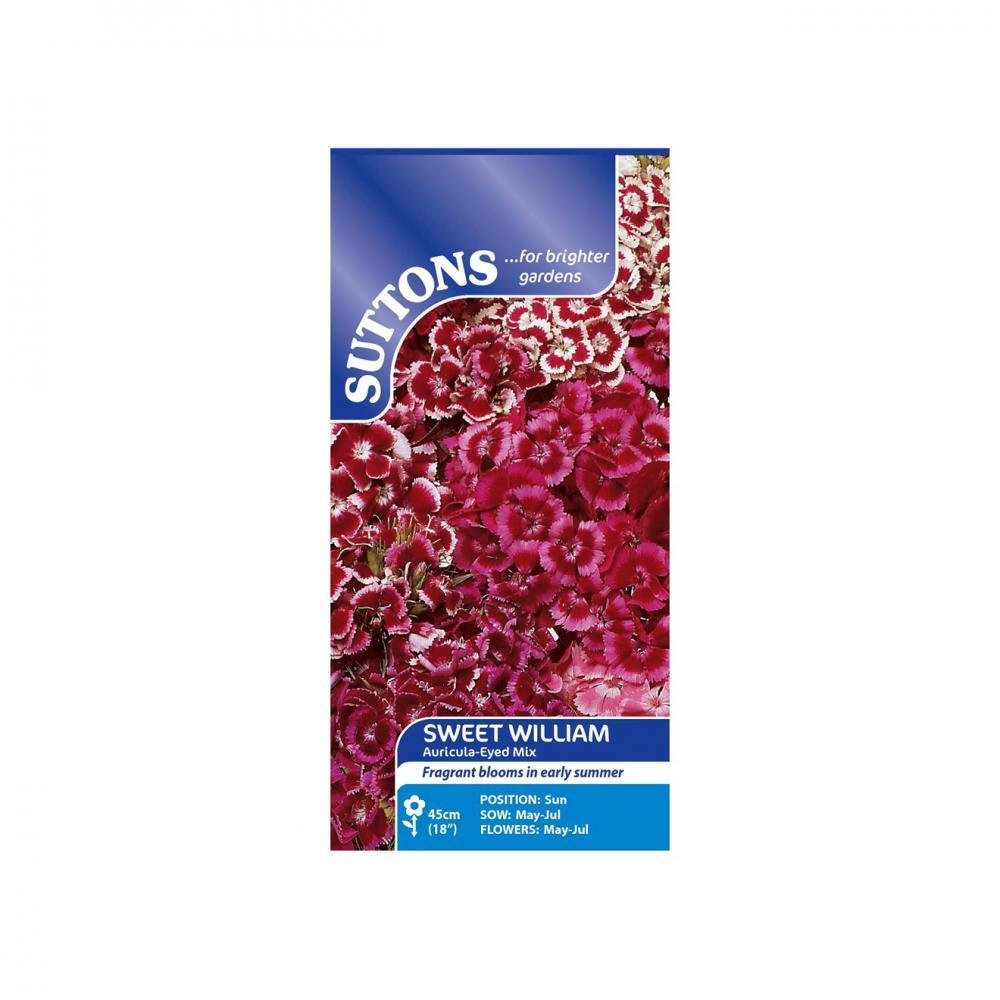 Suttons Sweet William Auricula-Eyed Flower Seeds - SEED VEG & FLOWER - Beattys of Loughrea