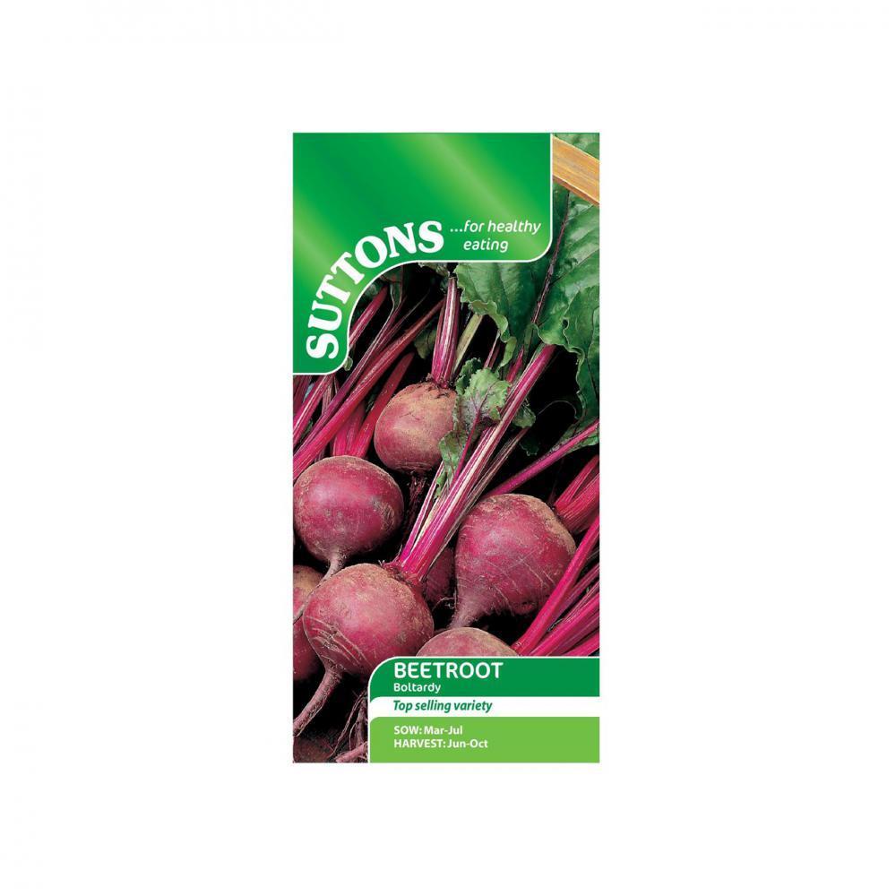 Suttons Beetroot Boltardy 151383 - SEED VEG & FLOWER - Beattys of Loughrea