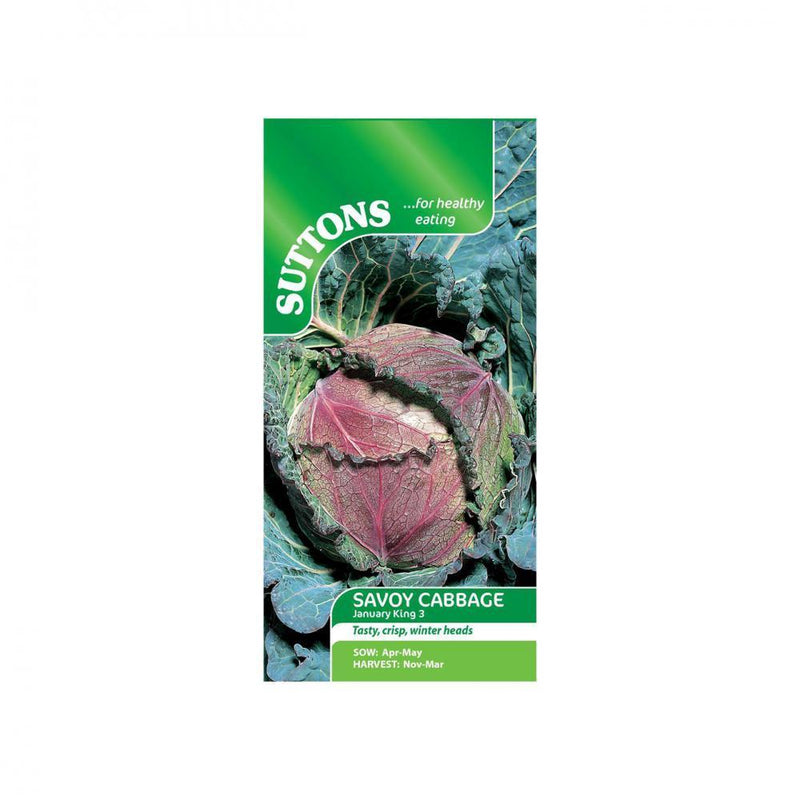 Suttons Cabbage Savoy January King3 155644 - SEED VEG & FLOWER - Beattys of Loughrea
