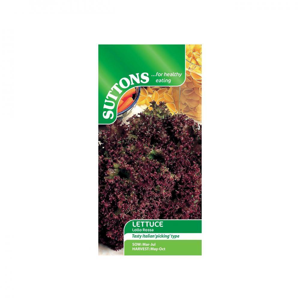 Suttons Lettuce Lollo Rossa 168458 - SEED VEG & FLOWER - Beattys of Loughrea