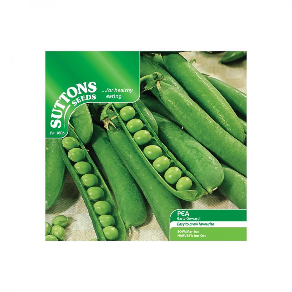 Suttons Pea Early Onward 190005 - SEED VEG & FLOWER - Beattys of Loughrea