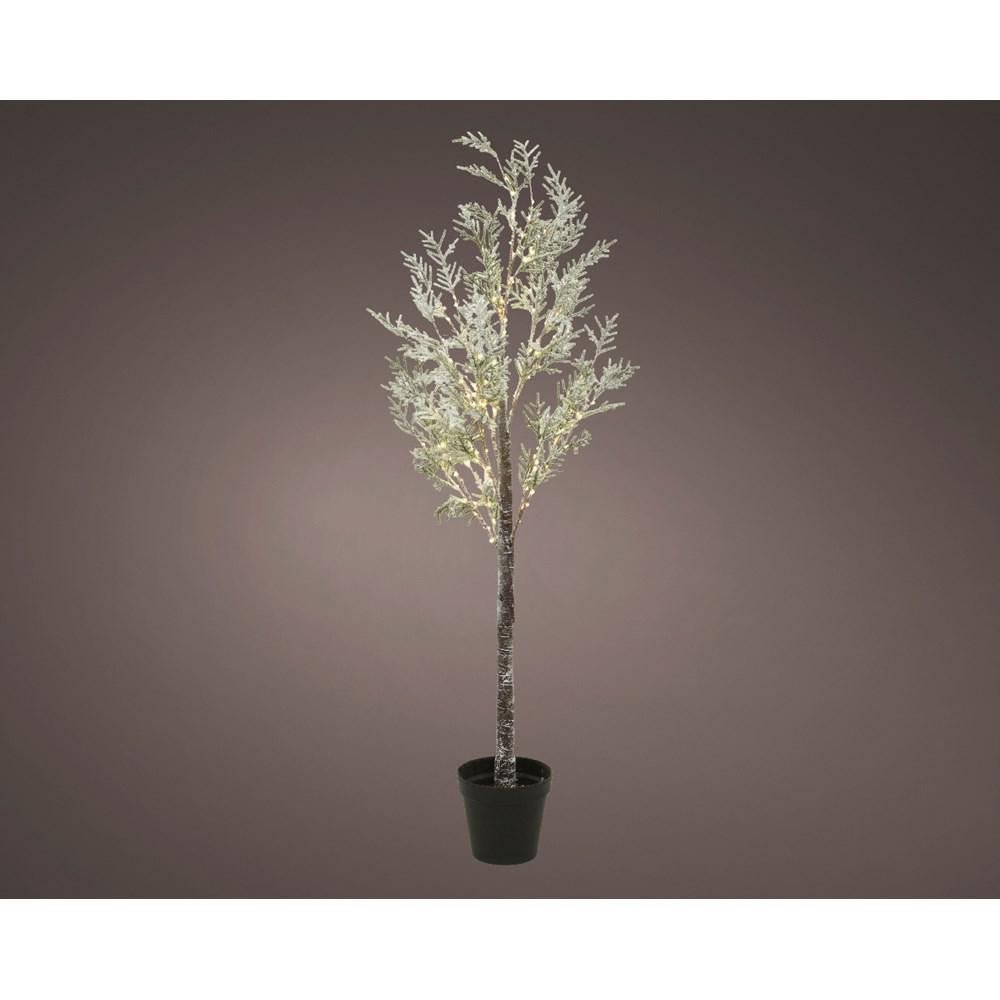 Micro LED Pine Tree With Snow - 6ft - XMAS TREE F/O LIGHT UP - Beattys of Loughrea