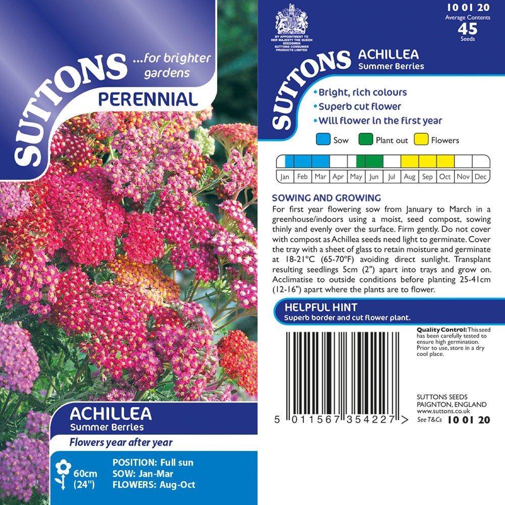 Suttons Achillea Summer Berries G100120 - Beattys of Loughrea | www.beattys.ie