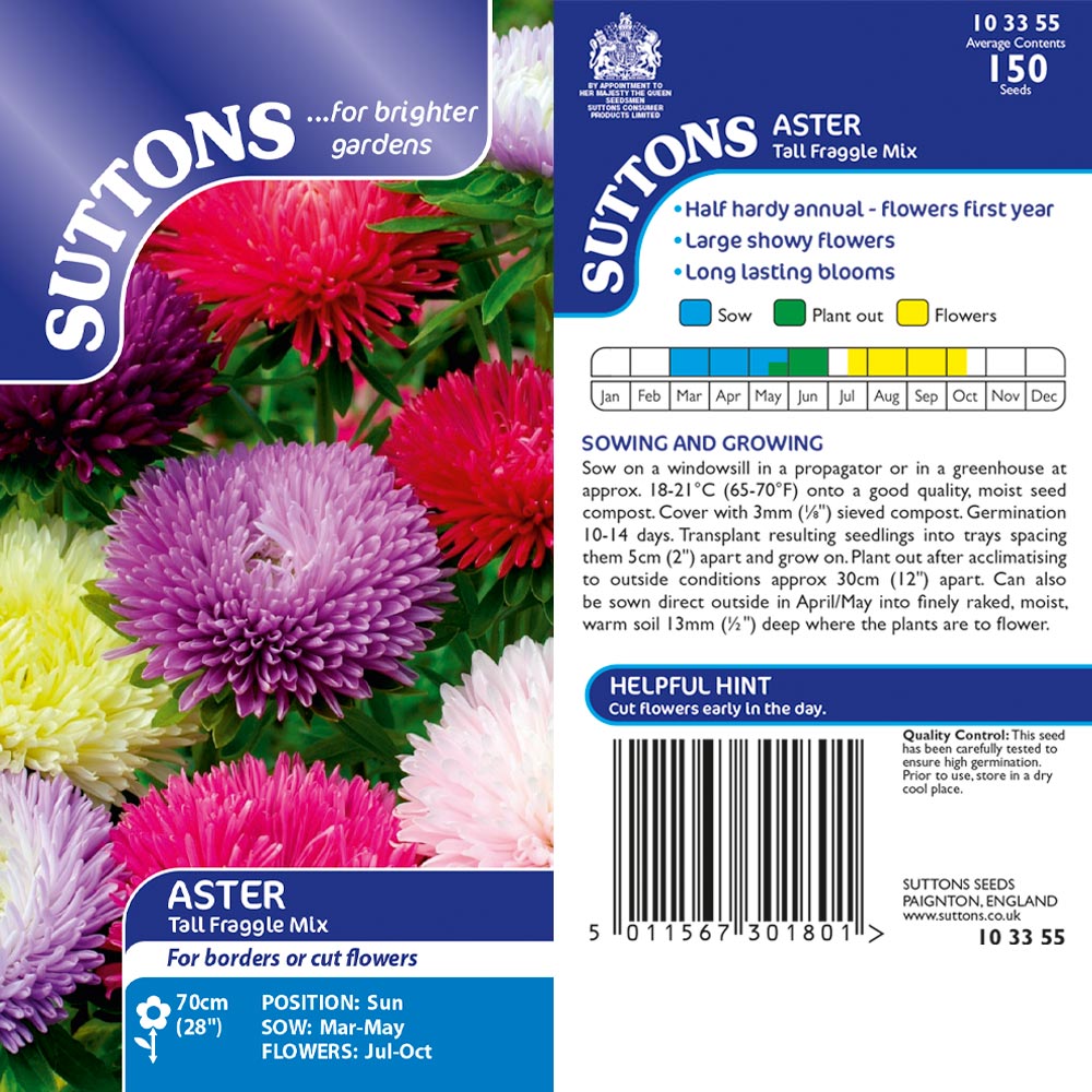 Suttons Aster Tall Fraggle Mix - Beattys of Loughrea | www.beattys.ie