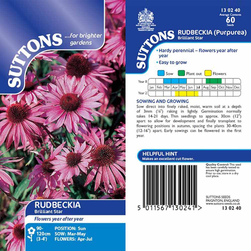 Suttons Rudbeckia Brilliant Star G130240 - SEED VEG & FLOWER - Beattys of Loughrea