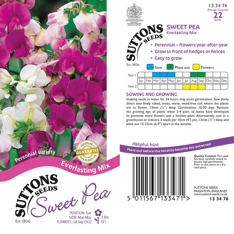 Suttons Sweet Pea Everlasting 133476 - SEED VEG & FLOWER - Beattys of Loughrea