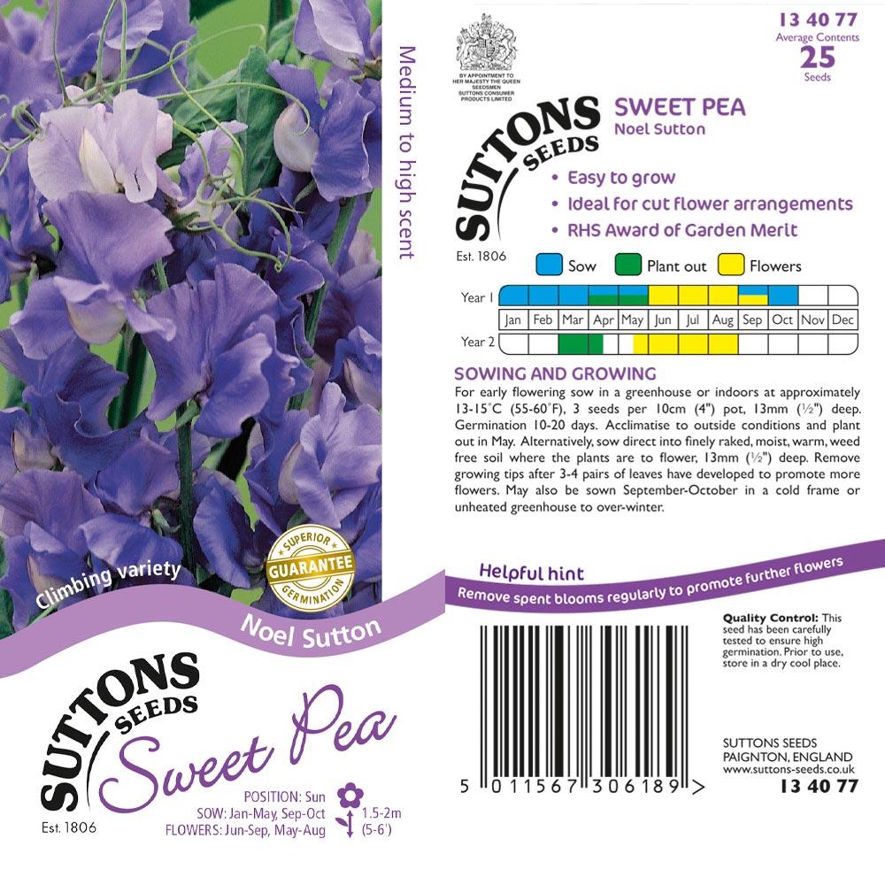 Suttons Sweet Pea Noel Sutton 134077 - Beattys of Loughrea | www.beattys.ie