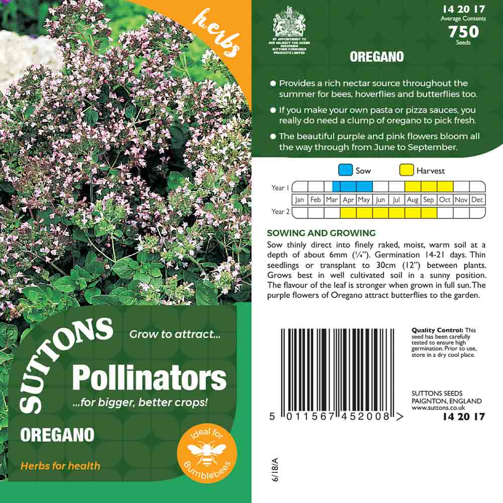 Suttons Oregano Pp - SEED VEG & FLOWER - Beattys of Loughrea