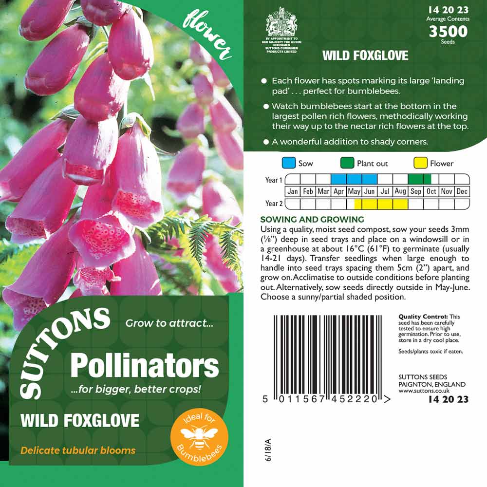 Suttons Wild Foxglove Pp - SEED VEG & FLOWER - Beattys of Loughrea