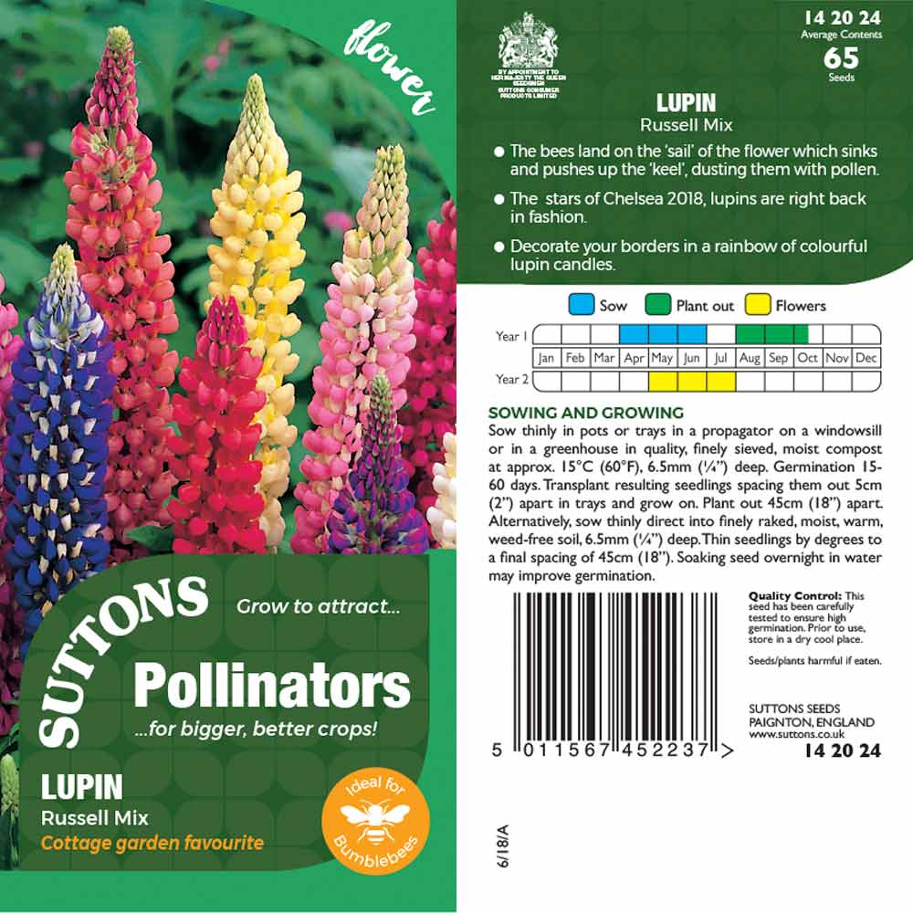 Suttons Lupin Russell Pp - SEED VEG & FLOWER - Beattys of Loughrea