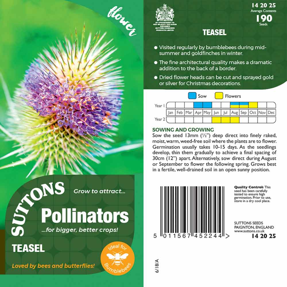 Suttons Teasel Pp - SEED VEG & FLOWER - Beattys of Loughrea