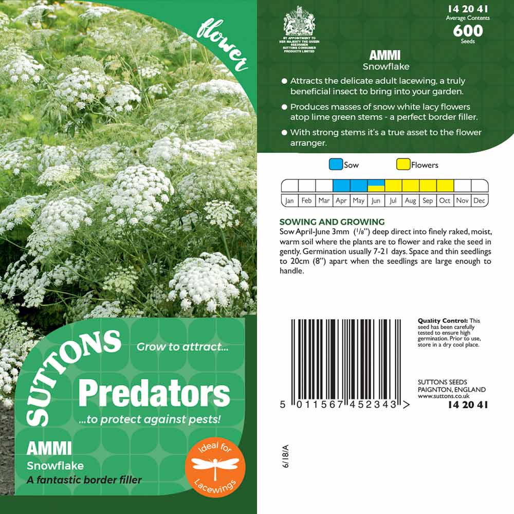 Suttons Ammisnowflake Pp - SEED VEG & FLOWER - Beattys of Loughrea