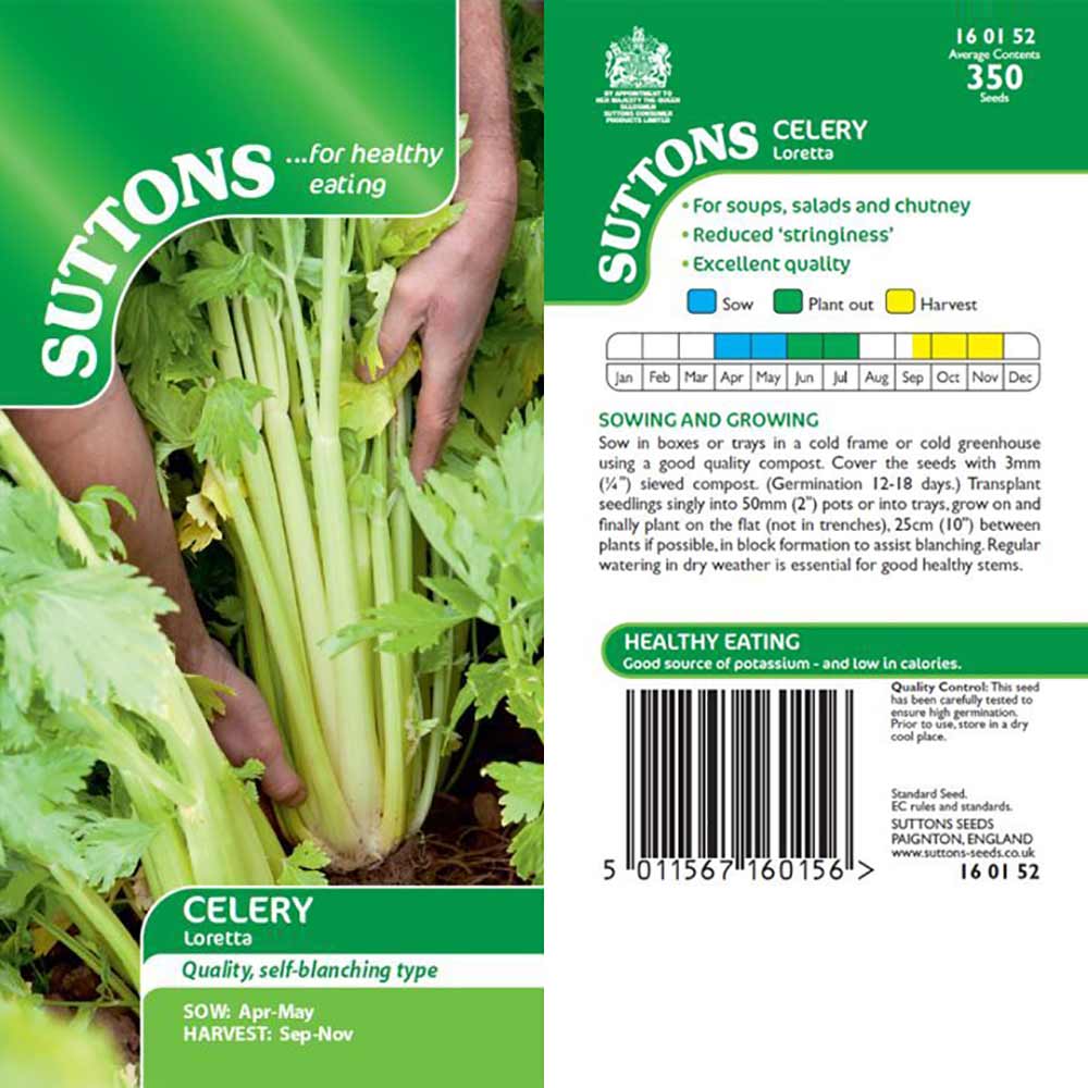 Suttons Celery Loretta G160152 - SEED VEG & FLOWER - Beattys of Loughrea