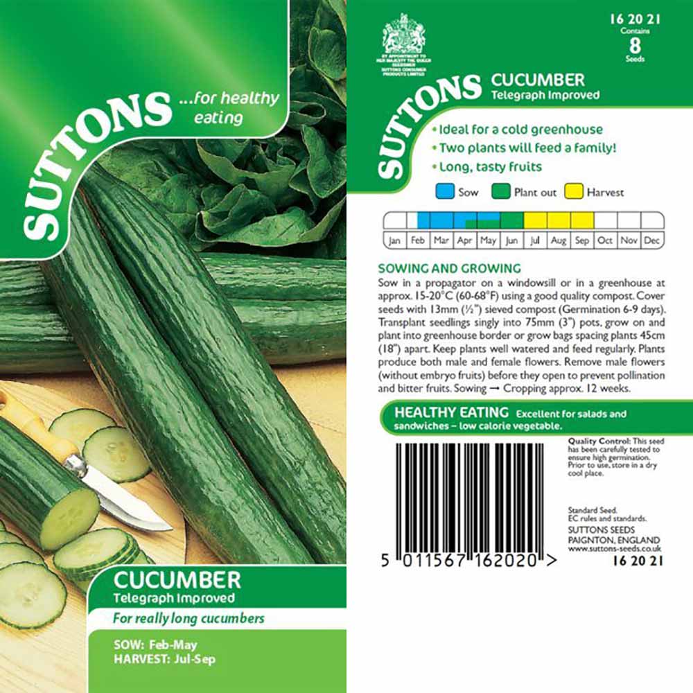 Suttons Cucumber Telegraph Improved 162021 - SEED VEG & FLOWER - Beattys of Loughrea