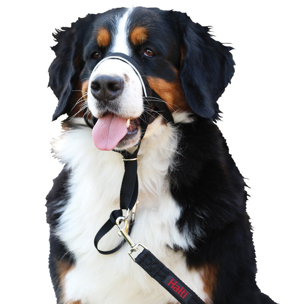 Halti Headcollar Size 0 Black - PET LEAD, COLLAR AND ID, SAFETY - Beattys of Loughrea