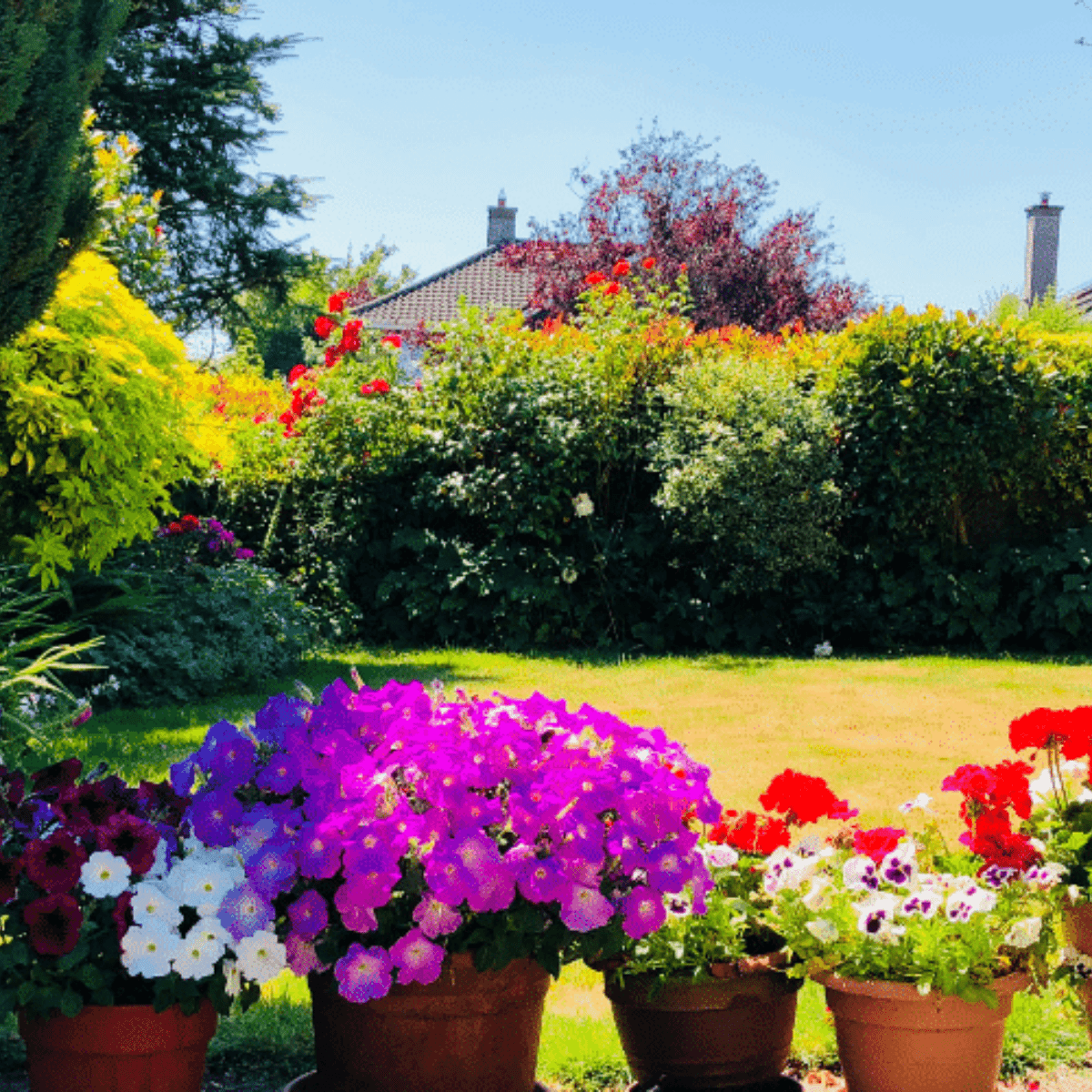 Annual Gardening Calendar - Beattys of Loughrea