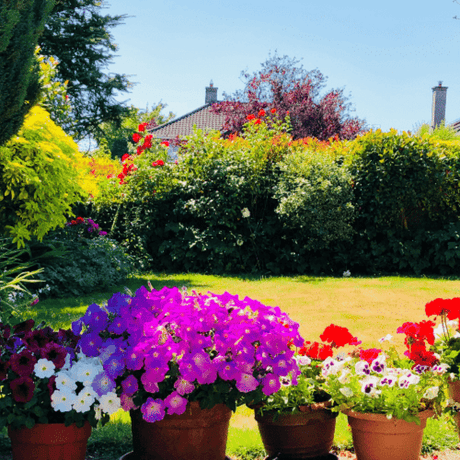 Annual Gardening Calendar - Beattys of Loughrea